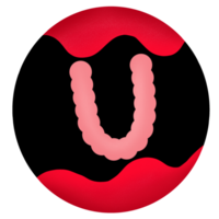 Uppercase in a red-black circle,Alphabet U png