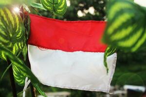 The flag of a country located in Southeast Asia, namely Indonesia, is also one of the largest countries in Asia. photo