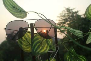 el paisaje en el Mañana es soleado y cálido, el concepto de el imagen conteniendo Gafas de sol es un estilo de vida en verano. foto