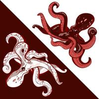 Vector illustration of an octopus. Made in cartoon style. The character has a bright color and if is in the dynamics