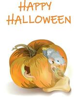 Vector image of a rat getting out of a pumpkin