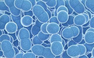 Large groups of germs with blue background, 3d rendering. photo