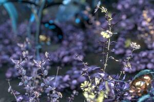 Living metallic plants with dark background,abstract conception,3d rendering. photo