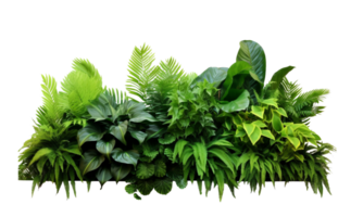 AI Generated Bushes consisting of various types of plants and wild leaves are arranged together against a transparent background. png