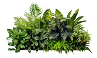 AI Generated Bushes consisting of various types of plants and wild leaves are arranged together against a transparent background. png