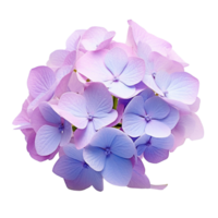 ai generado ramo de flores hiena flor png