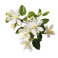 ai généré blanc fleur bouquet blanc jasmin bouquet png