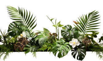 AI Generated Bushes consisting of various types of plants and wild leaves are arranged together against a transparent background. png