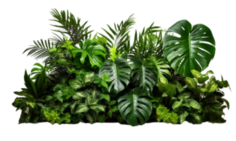 AI Generated Bushes consisting of various types of plants and wild leaves are arranged together against a transparent background. png