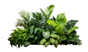 AI Generated Bushes consisting of various types of plants and wild leaves are arranged together against a transparent background. png