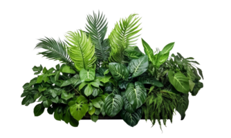 AI Generated Bushes consisting of various types of plants and wild leaves are arranged together against a transparent background. png