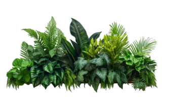 AI Generated Bushes consisting of various types of plants and wild leaves are arranged together against a transparent background. png