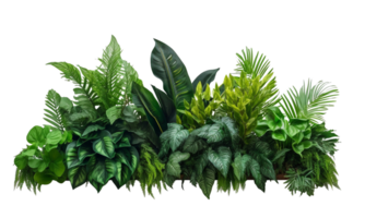 AI Generated Bushes consisting of various types of plants and wild leaves are arranged together against a transparent background. png