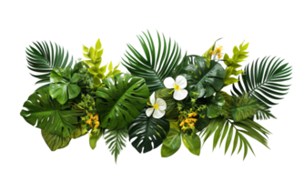 AI Generated Bushes consisting of various types of plants and wild leaves are arranged together against a transparent background. png
