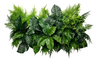 AI Generated Bushes consisting of various types of plants and wild leaves are arranged together against a transparent background. png