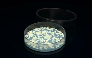 The germs in the petri dish, 3d rendering. photo