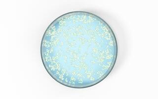 The germs in the petri dish, 3d rendering. photo