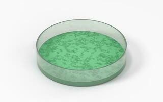 The germs in the petri dish, 3d rendering. photo