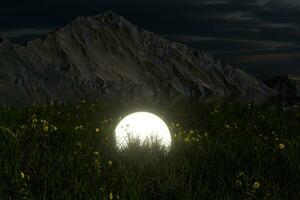 Glowing magic balls in the grass field, 3d rendering. photo