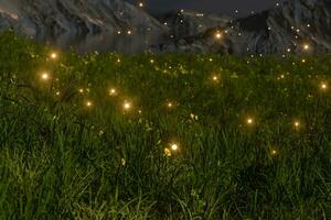 Flying glowworm over the grass field, 3d rendering. photo