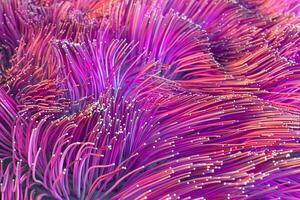 Growing wavy particles, abstract color background, 3d rendering. photo