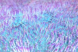 Growing wavy particles, abstract color background, 3d rendering. photo
