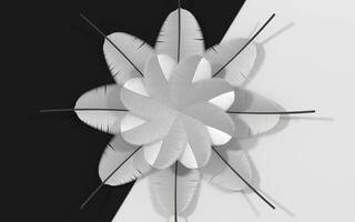 Creative soft feather background, 3d rendering. photo