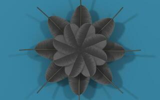 Creative soft feather background, 3d rendering. photo