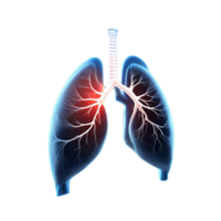 Lungs Human Generative AI png