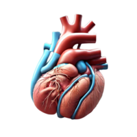 Human Heart Ai generative png