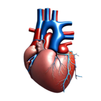 Human Heart Ai generative png