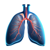 Lungs Human Generative AI png