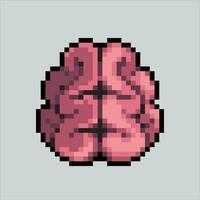 píxel Arte ilustración cerebro. pixelado cerebro. cerebro icono pixelado para el píxel Arte juego y icono para sitio web y vídeo juego. antiguo colegio retro vector