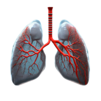 polmoni umano generativo ai png