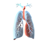 Lungs Human Generative AI png