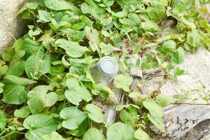 Disposable clear plastic tumblers in a natural park. Environmental pollution. Disposing of garbage is not the right place. photo