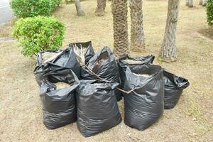 Black garbage bags containing grass clippings in a natural park. Waste separation, environmental protection. Natural and biodegradable waste photo