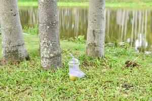 Disposable clear plastic tumblers in a natural park. Environmental pollution. Disposing of garbage is not the right place. photo