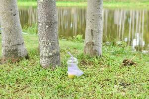 Disposable clear plastic tumblers in a natural park. Environmental pollution. Disposing of garbage is not the right place. photo