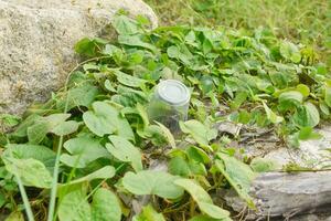 desechable claro el plastico vasos en un natural parque. ambiental contaminación. desechando de basura es no el Derecha lugar. foto