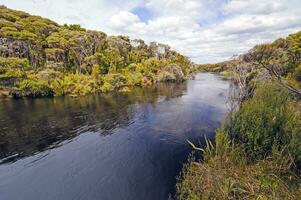 Remote River in a sub-tropical island photo