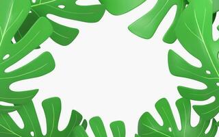 Fringed background of monstera leaves, 3d rendering. photo