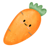 Carrot watercolor hand drawn illustration png