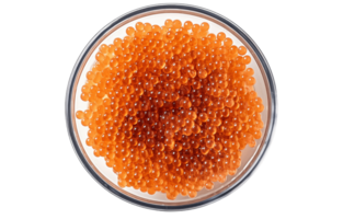 Top view, Fresh salmon roe in bowl isolated on a Transparent PNG Background AI Generative