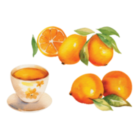 Isolated Orange Fruit Juice Drink and Orange Cake on Transparent PNG Background AI Generative