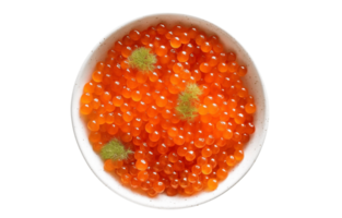 Top view, Fresh salmon roe in bowl isolated on a Transparent PNG Background AI Generative