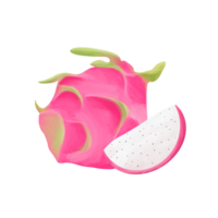 dragon fruit watercolor illustration png