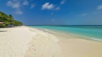 Paradise Maldives, not only turquoise water and white beaches... photo