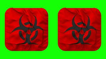 Danger biologique signe drapeau dans écuyer forme isolé avec plaine et bosse texture, 3d le rendu, vert filtrer, alpha mat video