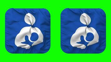 Breastfeeding Icons Flag in Squire Shape Isolated with Plain and Bump Texture, 3D Rendering, Green Screen, Alpha Matte video